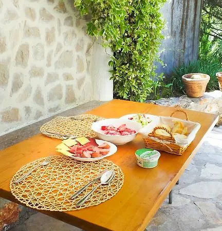 The Olive Tree ポドゴリツァ