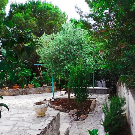 The Olive Tree Casa vacanze