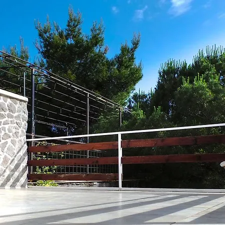 The Olive Tree ポドゴリツァ